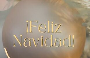 Mis pequeños gigantes les desea una feliz Navidad