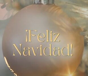 Mis pequeños gigantes les desea una feliz Navidad